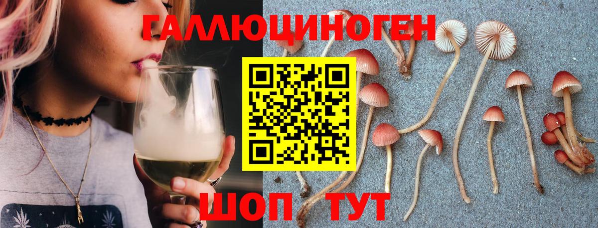 Псилоцибиновые грибы Psilocybe  Вход с VPN  Будённовск 