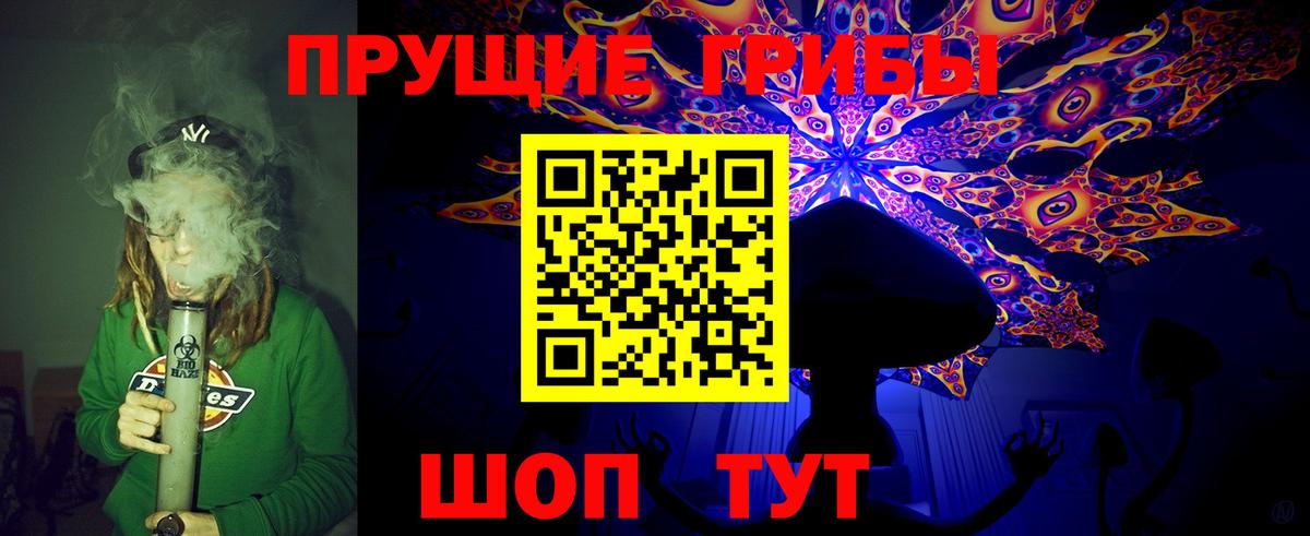 Галлюциногенные грибы мухоморы Будённовск